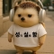 대표 사진