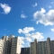 대표 사진