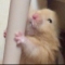 대표 사진