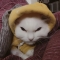 대표 사진