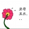 대표 사진