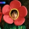 대표 사진