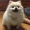 대표 사진