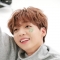 대표 사진