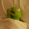 대표 사진