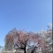 대표 사진