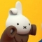 대표 사진