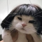 대표 사진