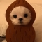 대표 사진