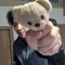 대표 사진