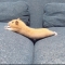 대표 사진