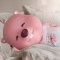 대표 사진