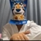 대표 사진