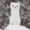 대표 사진