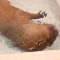 대표 사진