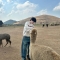 대표 사진