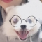 대표 사진