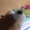 대표 사진