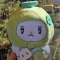 대표 사진
