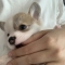 대표 사진