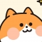 대표 사진