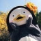 대표 사진