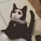 대표 사진
