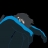 대표 사진
