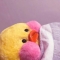 대표 사진
