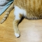 대표 사진