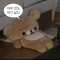 대표 사진
