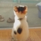 대표 사진