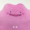 대표 사진