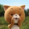 대표 사진