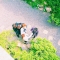 대표 사진