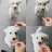 대표 사진