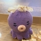 대표 사진