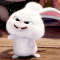 대표 사진