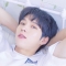 대표 사진