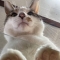 대표 사진