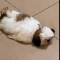 대표 사진