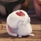 대표 사진