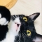 대표 사진