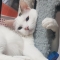 대표 사진