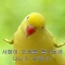 대표 사진
