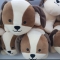 대표 사진