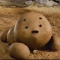 대표 사진
