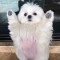 대표 사진