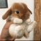 대표 사진