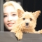 대표 사진